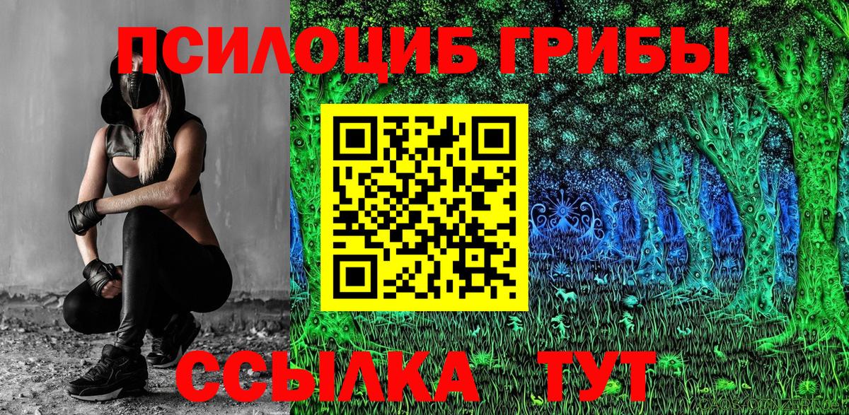 хочу наркоту  Вход с VPN  Томск  Псилоцибиновые грибы GOLDEN TEACHER 