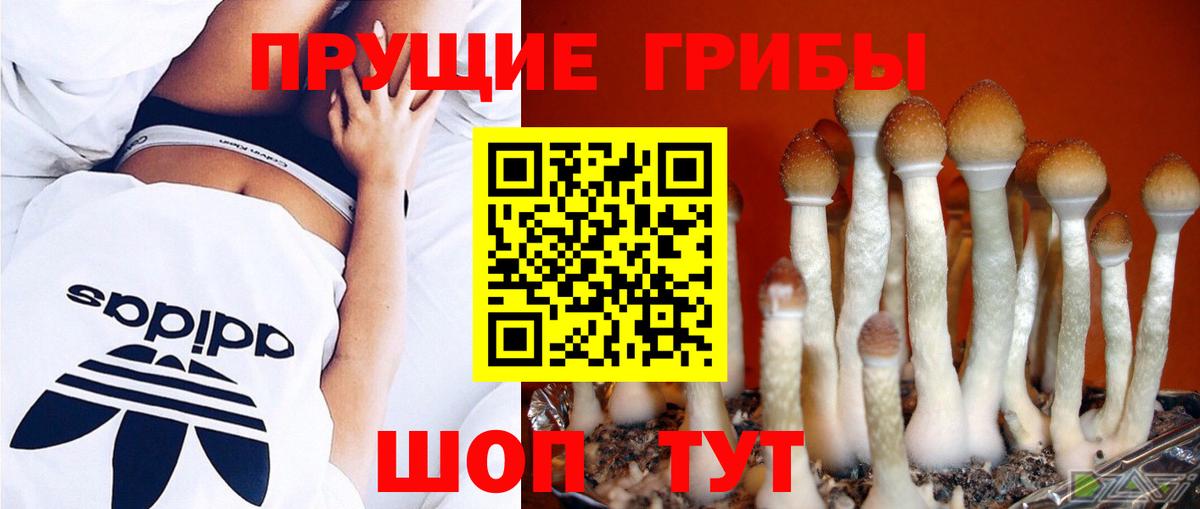Псилоцибиновые грибы мухоморы Томск